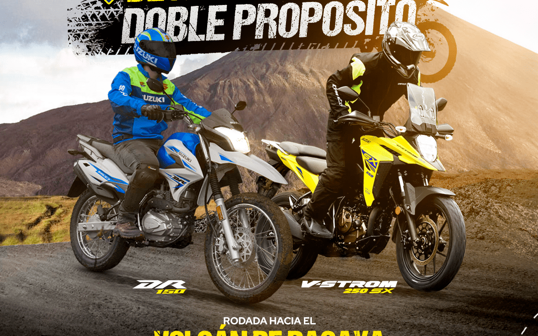 DESAFÍO DOBLE PROPÓSITO