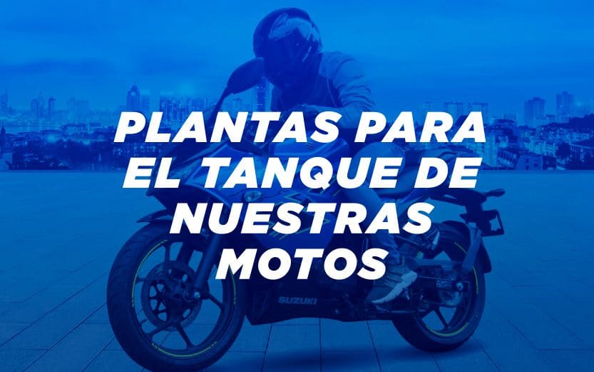 Plantas para el tanque de nuestras motos